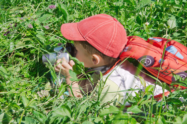 Similar image 1352387