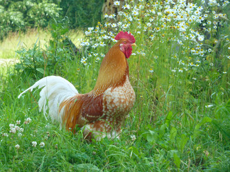 Similar image 1352408