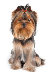 Similar image 1352425