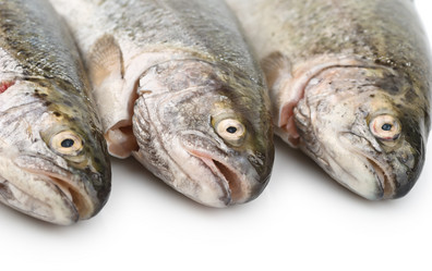 Similar image 1352437