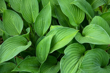 Similar image 1352450