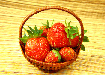 Similar image 1352505