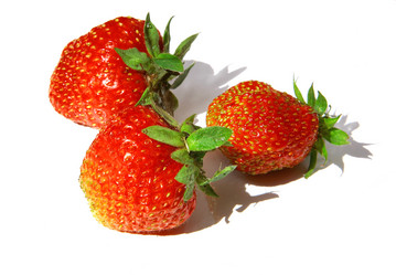 Similar image 1352508