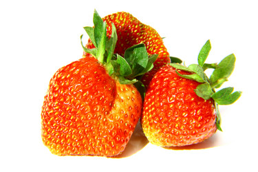 Similar image 1352509