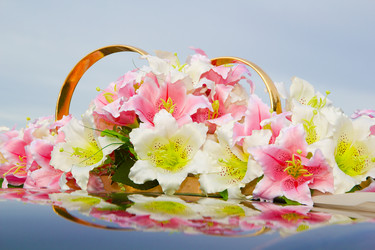 Similar image 1352556