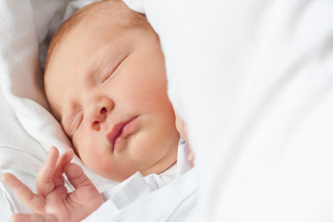 Similar image 1352642