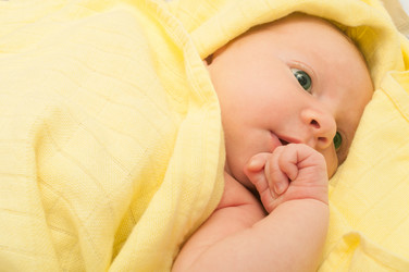 Similar image 1352660