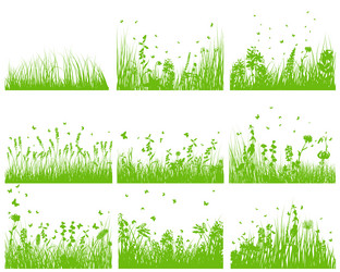 Similar image 1352739