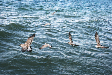 Similar image 1352809