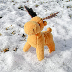 Similar image 1352966