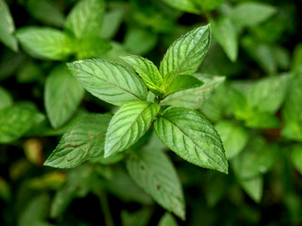 Similar image 1353096