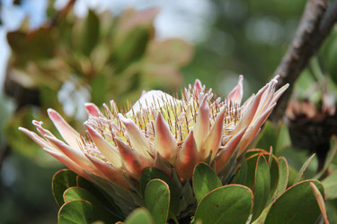 Similar image 1353175