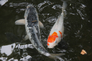 Similar image 1353176