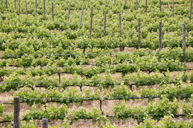 Similar image 1353179