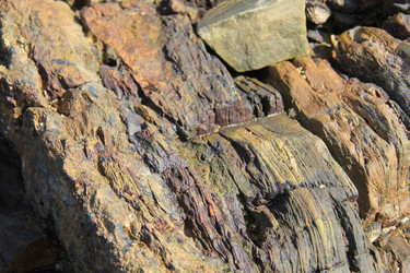 Similar image 1353182