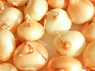 Similar image 1353184