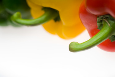 Similar image 1353245