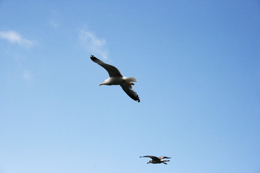 Similar image 1353506