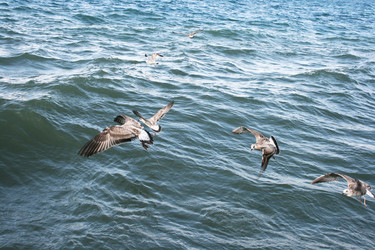 Similar image 1353523