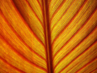 Similar image 1353918