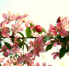 Similar image 1353921