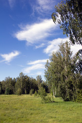 Similar image 1354173