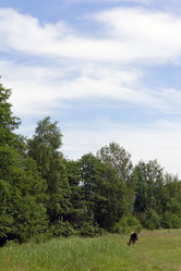 Similar image 1354174