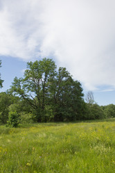 Similar image 1354177