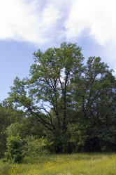 Similar image 1354178