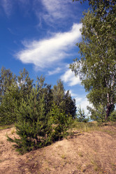 Similar image 1354181