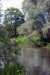 Similar image 1354182