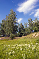 Similar image 1354183