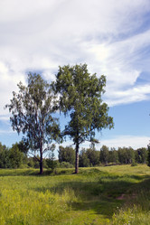 Similar image 1354184