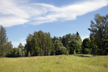 Similar image 1354185