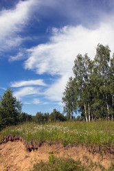 Similar image 1354186