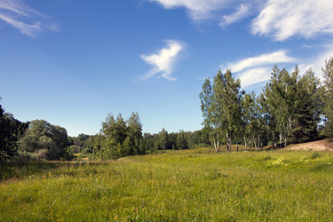 Similar image 1354189