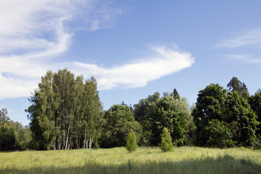 Similar image 1354190