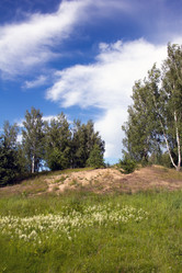 Similar image 1354191