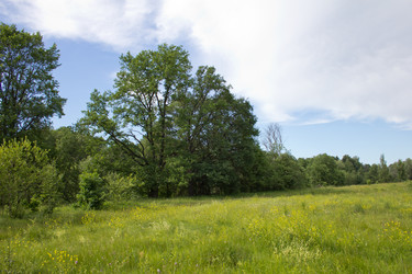 Similar image 1354192