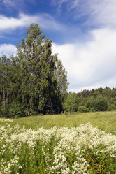 Similar image 1354193