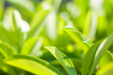 Similar image 1354197