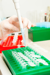 Similar image 1354217