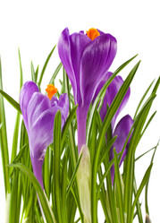 Similar image 1354316