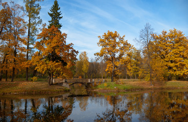 Similar image 1354362