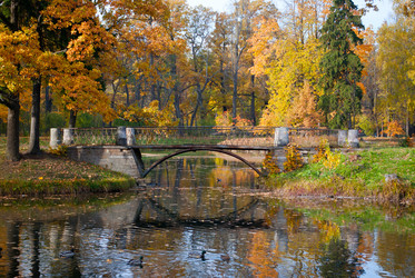 Similar image 1354366