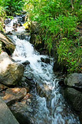 Similar image 1354823