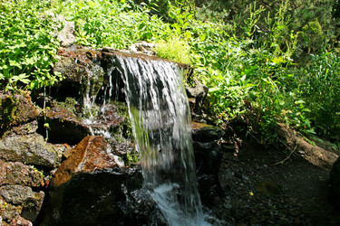 Similar image 1354830