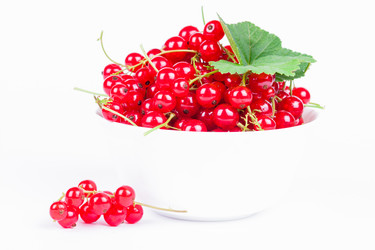 Similar image 1354877