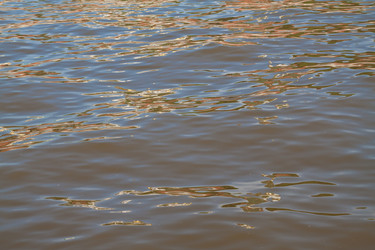 Similar image 1354880