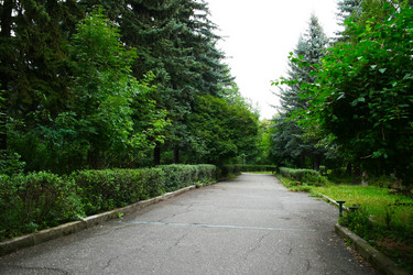 Similar image 1355210